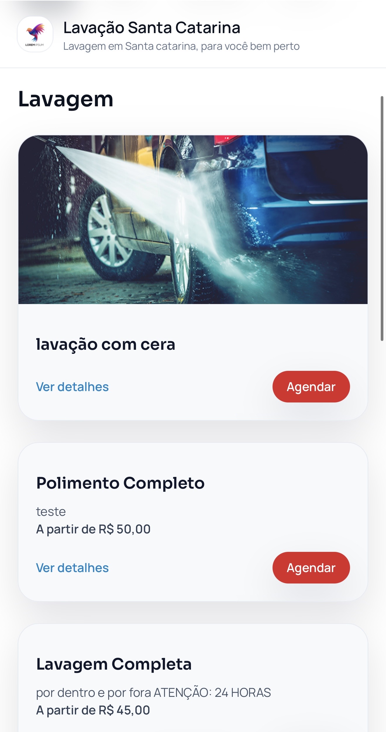 Catálogo de serviços da Lavação Santa Catarina com opções de lavagem e agendamento